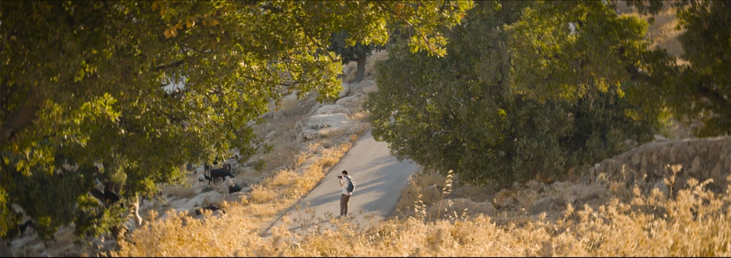A photographer on a winding road framed by sunlit trees and dry golden grass.
