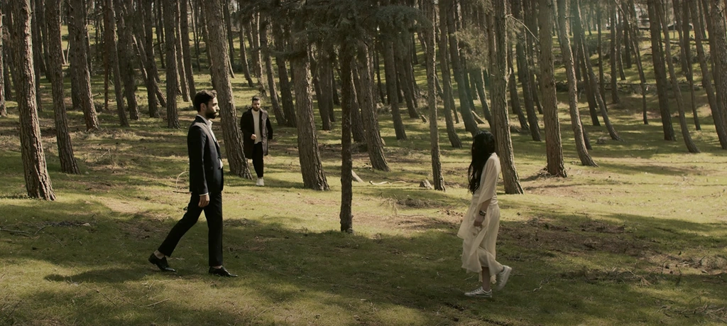 A couple approaching each other across a sunlit forest clearing.