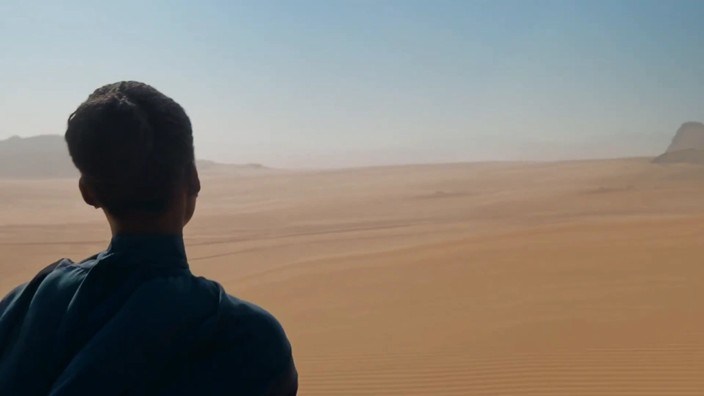 A woman seen from behind overlooking a vast ochre desert and distant rock formations.