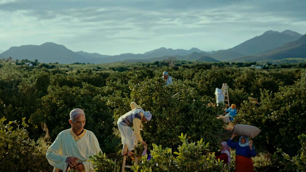 People working among green trees with distant mountains beyond.